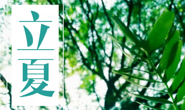 99499威尼斯(中国)有限公司首页