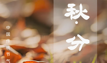 99499威尼斯(中国)有限公司首页