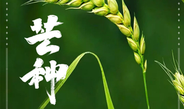 99499威尼斯(中国)有限公司首页