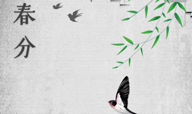 99499威尼斯(中国)有限公司首页